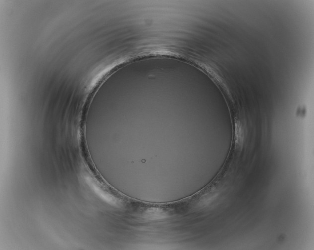 X0000113110390200909111120