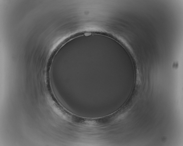 X0000113110391200909111120