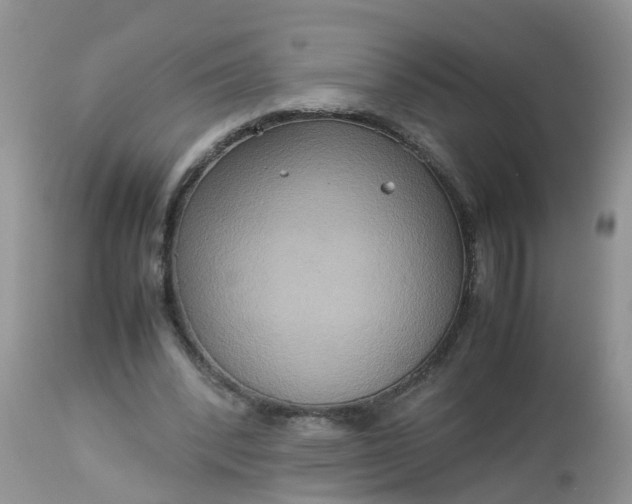 X0000113110392200909111120