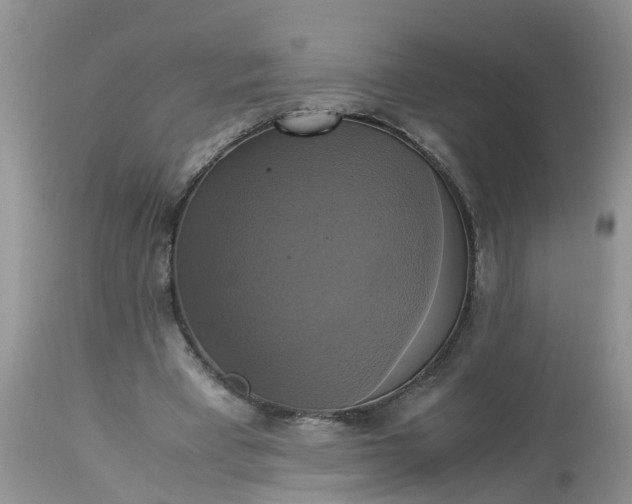 X0000113110393200909111120