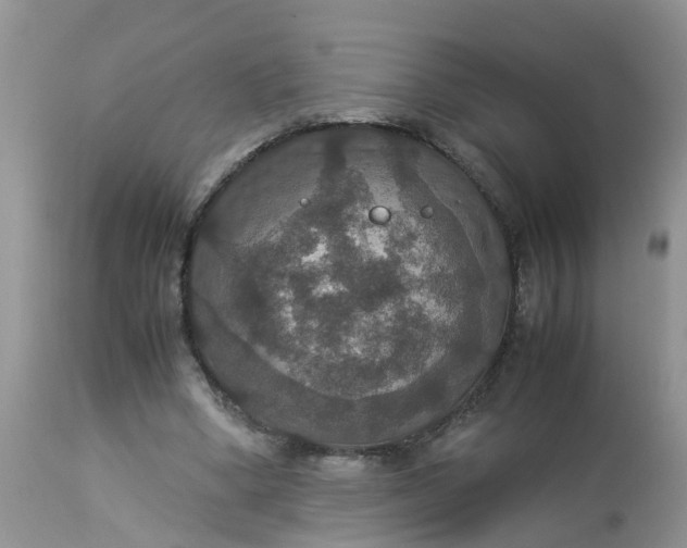 X0000113110394200909111120