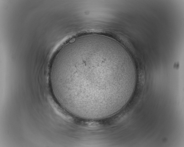 X0000113110395200909111120