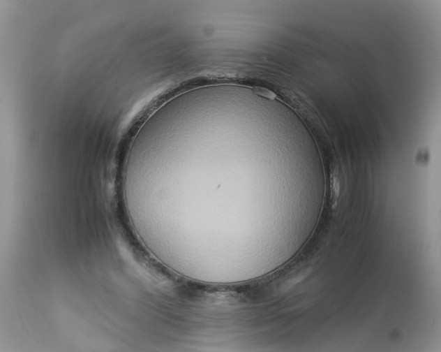 X0000113110396200909111120