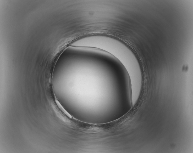 X0000113110397200909111120