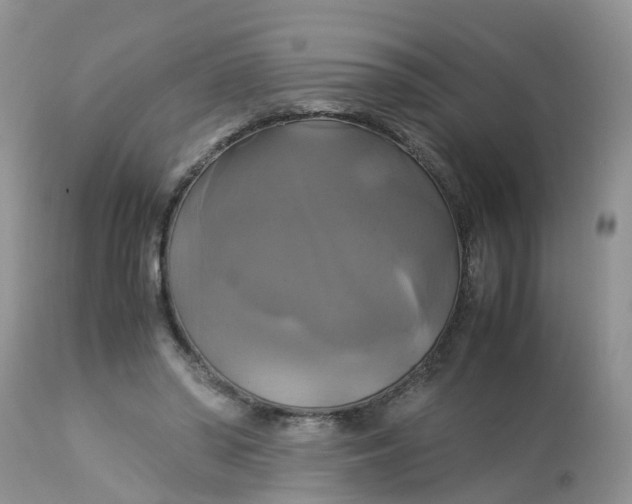 X0000113110398200909111120