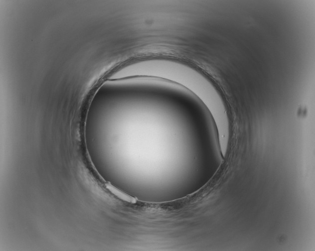 X0000113110399200909111120