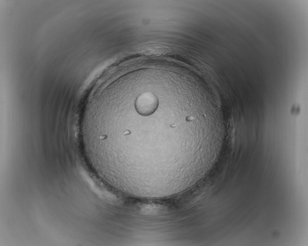 X0000113110400200909111120