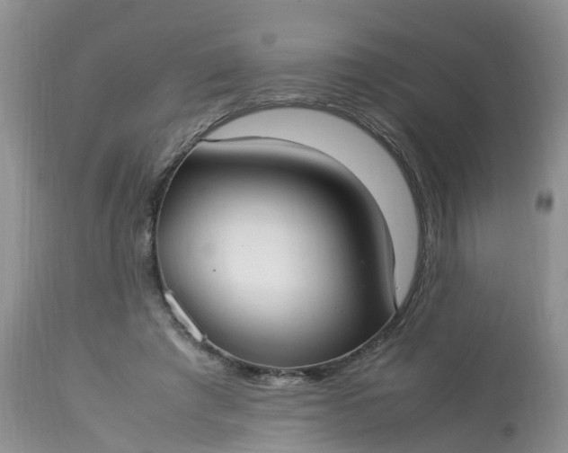 X0000113110401200909111120