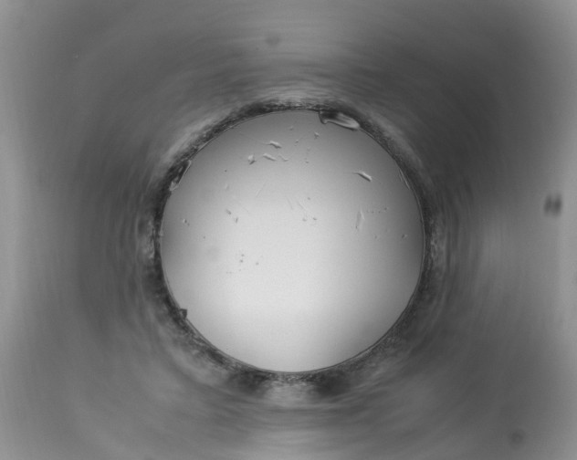 X0000113110403200909111120