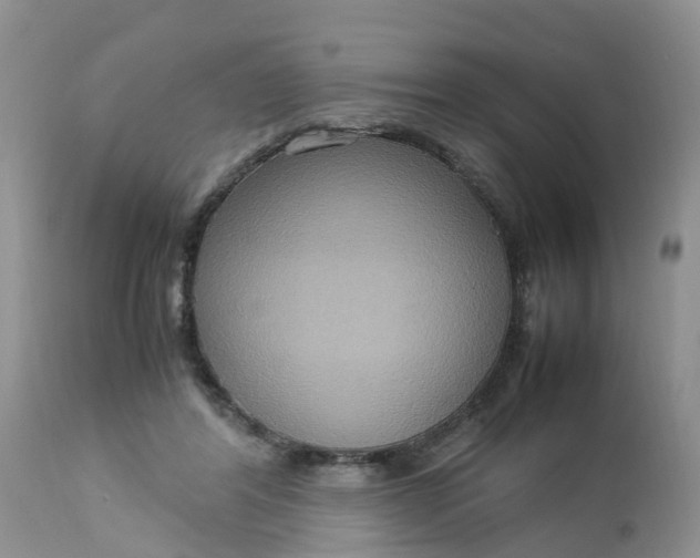 X0000113110404200909111120