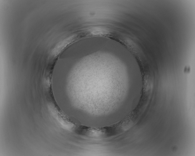 X0000113110405200909111120