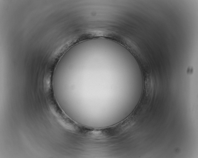 X0000113110406200909111120