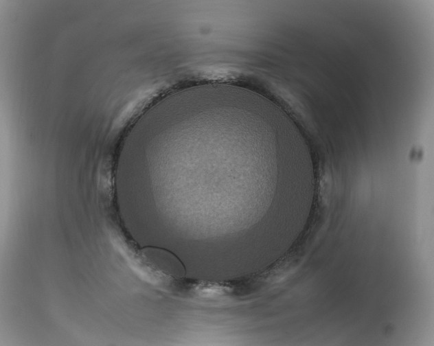 X0000113110407200909111120