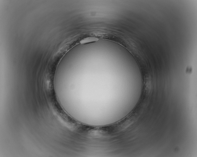 X0000113110408200909111120