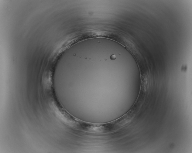 X0000113110410200909111120