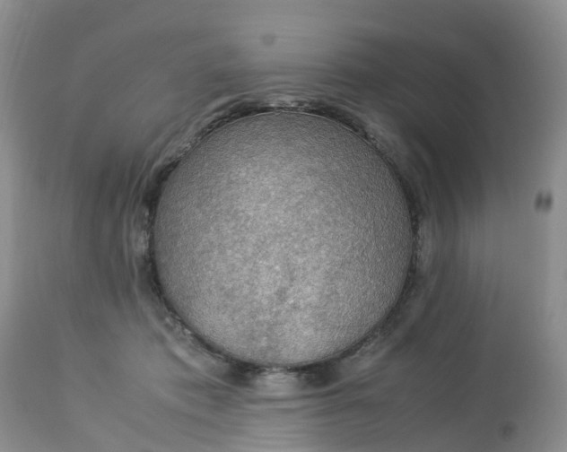 X0000113110413200909111120