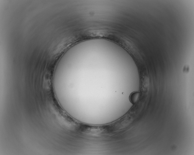 X0000113110414200909111120