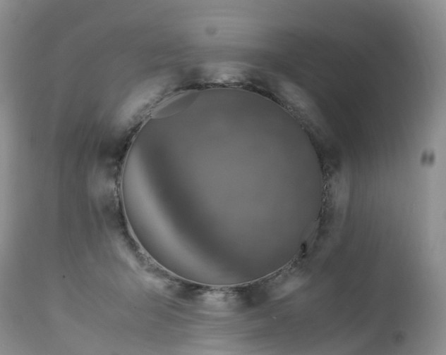 X0000113110415200909111120