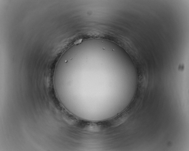 X0000113110416200909111120