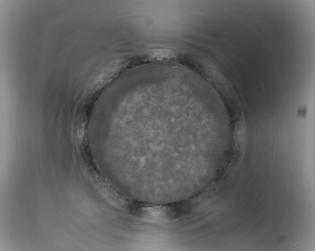 X0000113110417200909111119