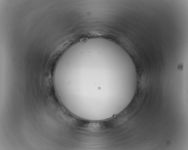 X0000113110418200909111119