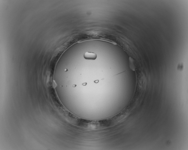 X0000113110420200909111119