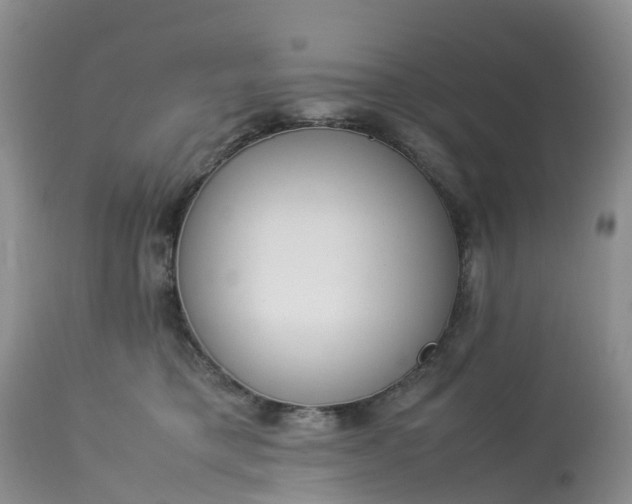 X0000113110421200909111119