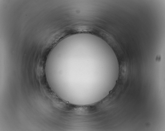 X0000113110422200909111119