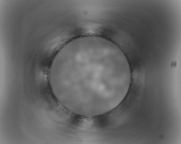 X0000113110423200909111119