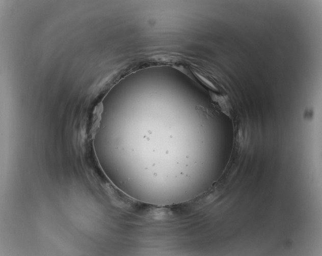 X0000113110424200909111119