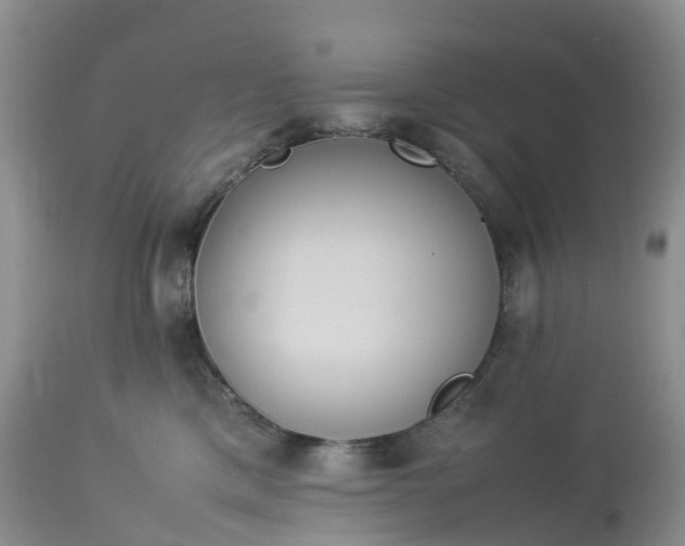 X0000113110425200909111119