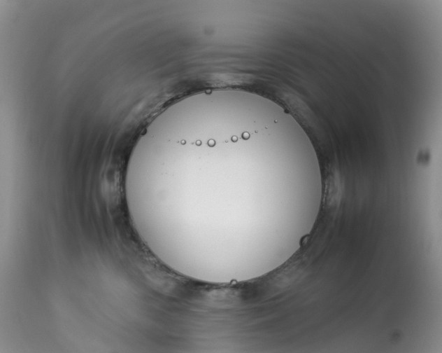 X0000113110426200909111119