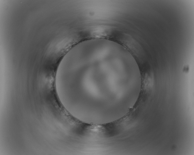 X0000113110427200909111119