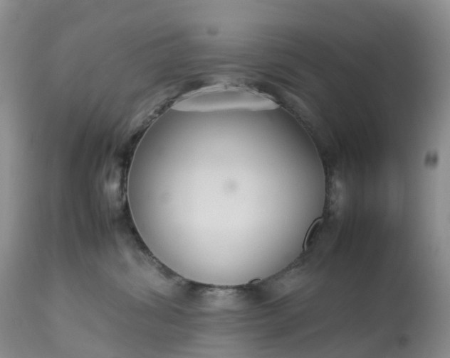 X0000113110428200909111119