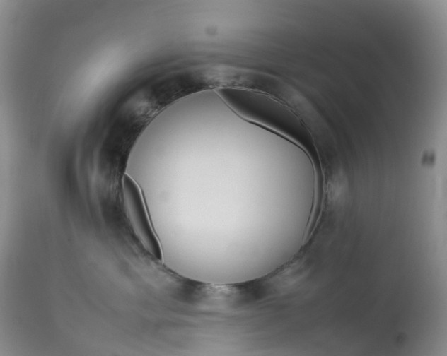 X0000113110429200909111119