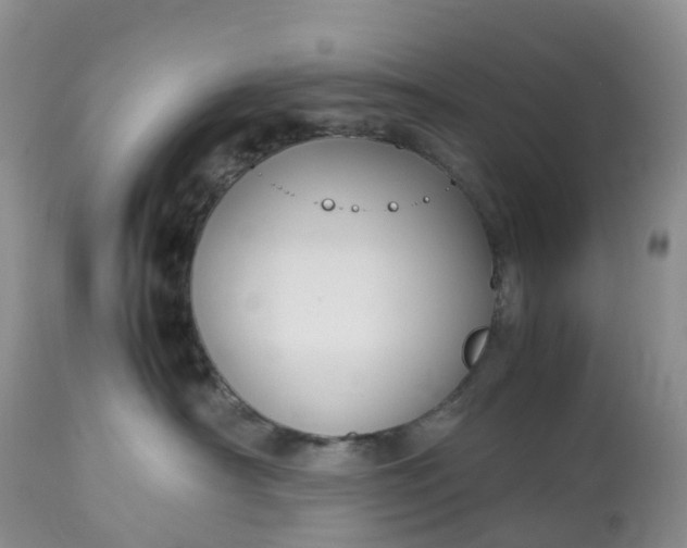 X0000113110430200909111119