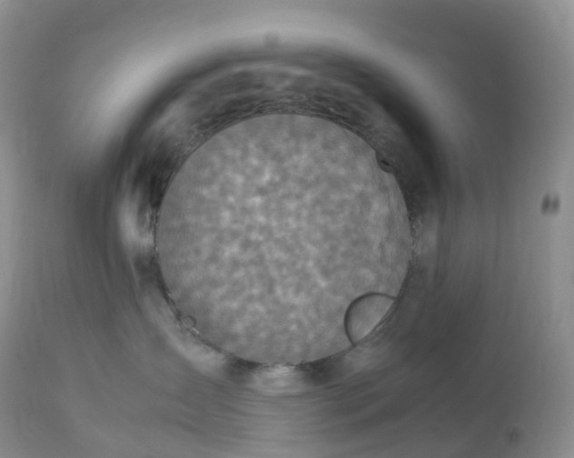 X0000113110431200909111119