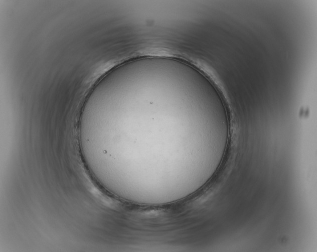 X0000113110433200909111118