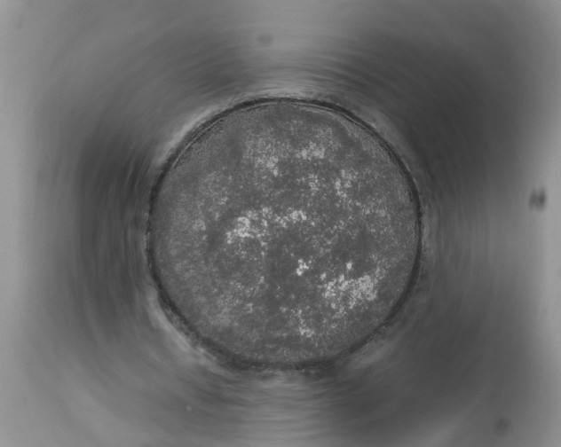 X0000113110434200909111118