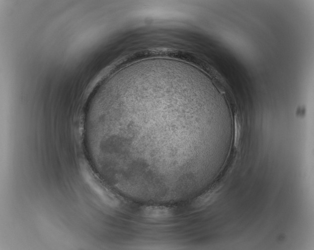 X0000113110435200909111118