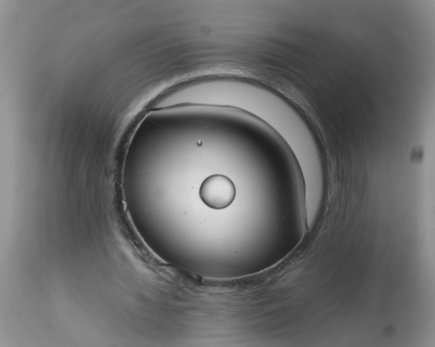 X0000113110436200909111118