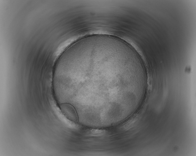 X0000113110437200909111119