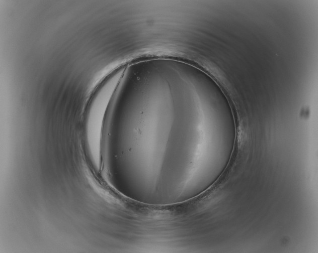 X0000113110438200909111119