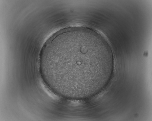 X0000113110439200909111119