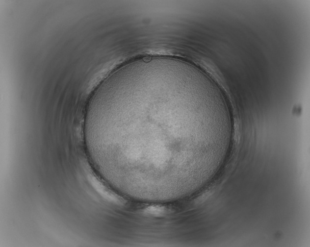 X0000113110441200909111119