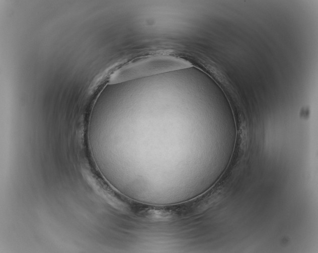 X0000113110442200909111119