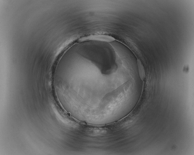 X0000113110443200909111119