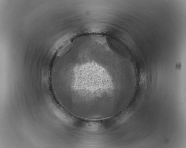 X0000113110444200909111119