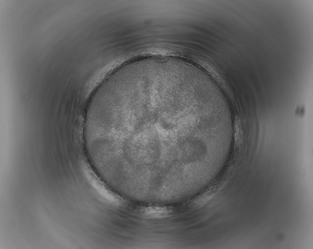 X0000113110445200909111119