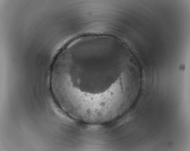 X0000113110446200909111119